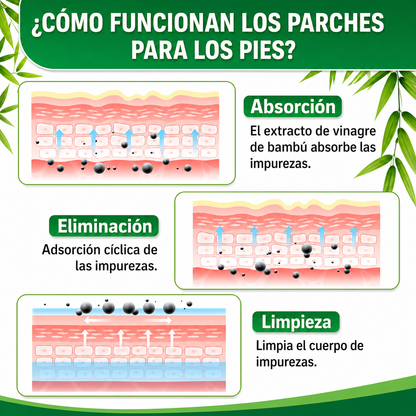 Parches Desintoxicantes Kinoki