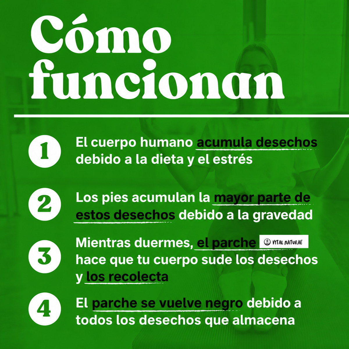 Parches Desintoxicantes Kinoki